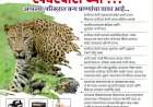 वन्यप्राणी यांचा वावर वाढत असल्याने कणकवली वनविभागाच्या वतीने लोकांमध्ये जनजागृती.