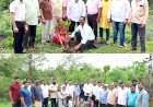 साठाव्या वाढदिवशी लावली साठ रोपे.  निवृत्त ग्रामविकास अधिकाऱ्यांचा अनोखा उपक्रम.