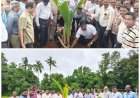 कृषी दिनानिमित्त कणकवली तालुका पत्रकार संघाच्यावतीने वृक्षारोपण