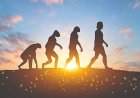 मानवी उत्क्रांतीचा वेग अद्यापही कायम; गेल्या १०००० वर्षांत ५०० जनुकांमध्ये बदल