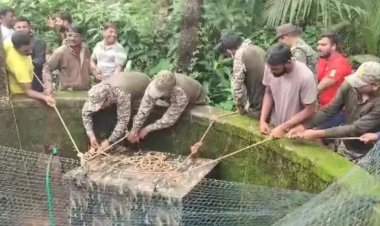 कवठणी येथील विहिरीत पडलेल्या बिबट्याची वनविभागाने केली यशस्वी सुटका.