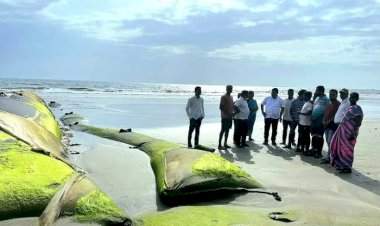 देवबाग समुद्र किनारपट्टीवरील जिओ ट्युब बंधाऱ्याचे काम पूर्ण ; आ. वैभव नाईक यांनी केली पाहणी.  आ. वैभव नाईक यांच्या कामाबद्दल ग्रामस्थांनी व्यक्त केले समाधान.