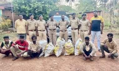 तुळस येथे सप्तरंगी औषधी वनस्पतीची अवैध वृक्षतोड केल्याप्रकरणी ५ जण वनविभागाच्या ताब्यात.  एकूण १२ हजार ५५० रुपयांचा मुद्देमाल जप्त.