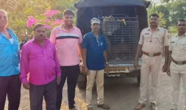 चिंदर बाजारवाडी येथील विहिरीत पडलेल्या दोन कोल्ह्यांना वनविभागाकडून जीवदान.