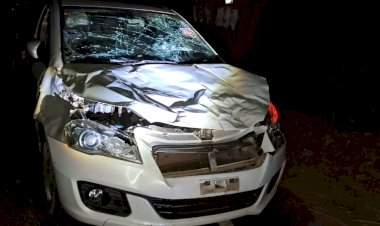 शिरगाव राक्षसघाटी येथे गवारेड्याची कारला जोरदार धडक; गाडीचे लाखोचे नुकसान.