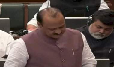 लाडकी बहीण, पिंक रिक्षा, अन्नपूर्णा योजना.. महायुती सरकारकडून महिलांसाठी योजनांची घोषणा.