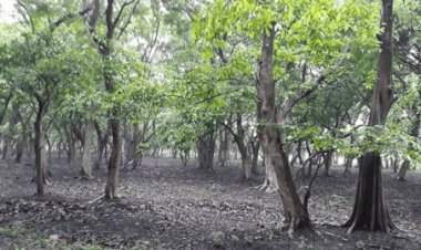 सिंधुदुर्ग जिल्ह्यातील दोनशेहून अधिक गावे इको सेन्सिटिव्ह झोनमध्ये.