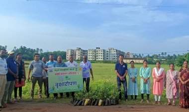 वेंगुर्ला नगरपरिषदेमार्फत विविध ठिकाणी वृक्षारोपण.