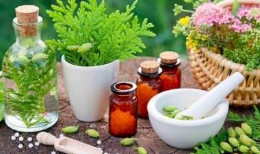 कोल्हापूरातील आजरा येथे राज्यातील पहिले नॅचरोपॅथी कॉलेज होणार सुरू.