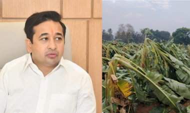 अवकाळी पावसाने झालेल्या नुकसानीचे तातडीने पंचनामे करा, पालकमंत्री नितेश राणे यांच्या अधिकाऱ्यांना सूचना