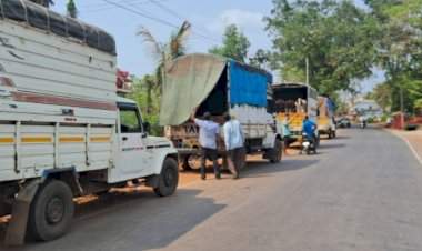 गुरे वाहतूक करणारा टेम्पो दोडामार्गात रोखला