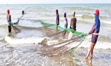 राज्यातील मत्स्य व्यवसाय क्षेत्राला कृषी दर्जा देण्याचा शासन निर्णय जारी......आजपासून अंमलबजावणी