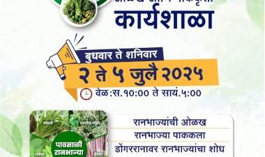 कुडाळ नेरुरपार येथे रानभाज्या ओळख आणि पाककृती कार्यशाळेचे आयोजन