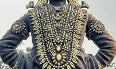 आषाढी एकादशी विशेष लेख...