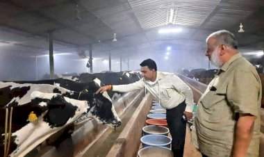 मत्स्यपालन, पशुपालनाला गोवा सरकारचे सर्वांगीण पाठबळ