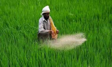 रब्बी पिकांच्या ई-पीक पाहणीसाठी मुदतवाढ