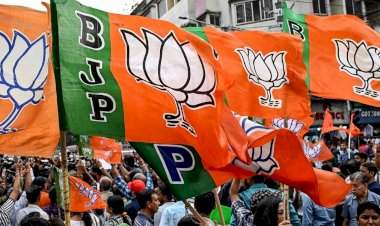 सिंधुदुर्गात भाजप पक्षश्रेष्ठींची मोठी कारवाई