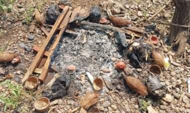 तिलारी खोऱ्यातील तेरवण-मेढे परिसरात बकऱ्यांची पाच कापलेली मुंडकी