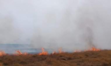 म्हापण-मळई येथील माळरानाला भीषण आग.....काजू-आंब्याची कलमे जळून खाक