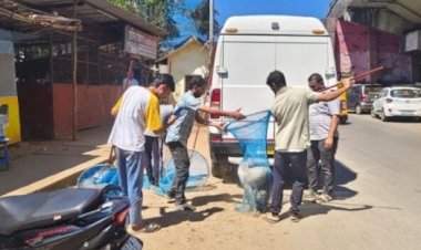 कणकवलीत भटक्या कुत्र्यांची पकड मोहीम सुरू