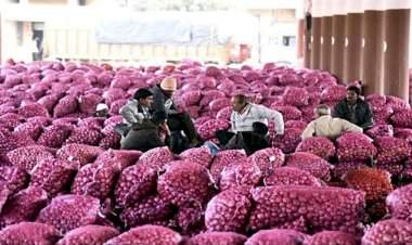 आखाती देशातील युद्धाचा थेट फटका; दुबई बाजारपेठ बंद.....जेएनपीएबाहेर १५०हून अधिक कांद्याचे कंटेनर अडकले!