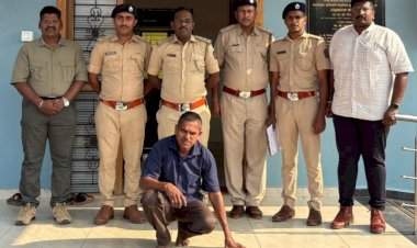 नेरुरच्या जंगलात वनविभागाची मोठी कारवाई