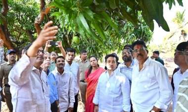 नुकसान झालेल्या देवगड येथील बागांची पालकमंत्र्यांकडून पाहणी....लवकरच मदतीची घोषणा केली जाईल; पालकमंत्र्यांचे आश्वासन