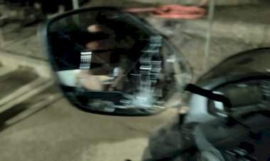 मालवण तालुक्यातील कोळंब येथे गोळीबार 