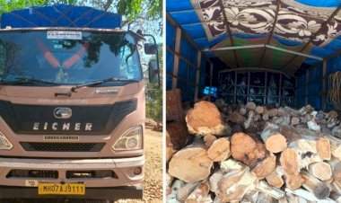 इन्सुली येथे तब्बल १० लाखांचा खैर लाकडाचा साठा जप्त