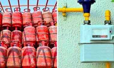  एलपीजी सिलेंडरच्या त्रासातून होणार सुटका; हॉटेलसह व्यावसायिक ग्राहकांसाठी 'पीएनजी' जोडणीचा पर्याय