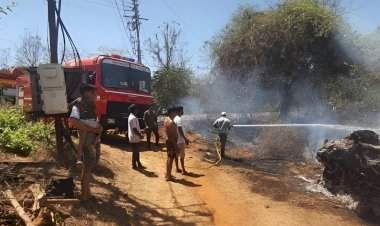 मठ व दाभोली सडा येथे आकस्मिक आग लागून काजू झाडांचे नुकसान....वेंगुर्ला अग्निशमक बंबच्या सहकार्याने आग आटोक्यात