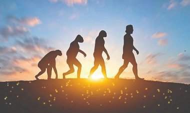 मानवी उत्क्रांतीचा वेग अद्यापही कायम; गेल्या 10,000 वर्षांत 500 जनुकांमध्ये बदल