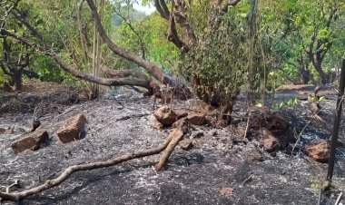 कांदळगाव येथे शॉर्टसर्किटमुळे भीषण आग