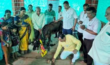 फोंडाघाट येथे 'लक्ष्मीकांत गोशाळे'चे उद्घाटन.....देशी गायींच्या सान्निध्यातून कॅन्सरवर उपचाराचा नवा प्रयोग