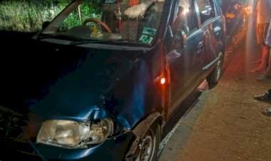 चालत्या अल्टो कारला गवा रेड्याची धडक.....महिला जखमी