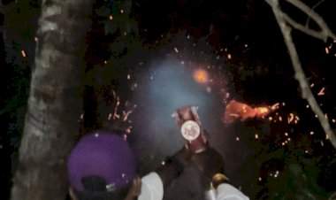 सावंतवाडी माजगाव येथे झाडाला आग 