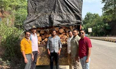 बांदा सीमेवर १४ लाखांचे खैर लाकूड जप्त...चालकाचे गाडी टाकून पलायन