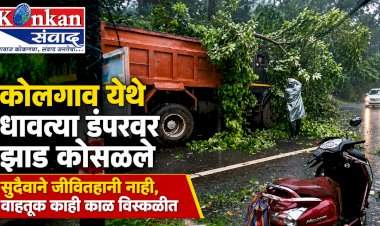 कोलगाव येथे धावत्या डंपरवर झाड कोसळले.....सुदैवाने जीवितहानी नाही, वाहतूक काही काळ विस्कळीत