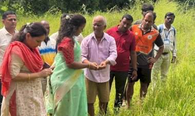 जिल्ह्यात कमी पावसामुळे शेतीचे नुकसान झालेल्या भागात जिल्हाधिकारी तृप्ती धोडमिसे यांची पाहणी......शेतकऱ्यांच्या बांधावर जाऊन पिकांची व पाणीपातळीची घेतली माहिती