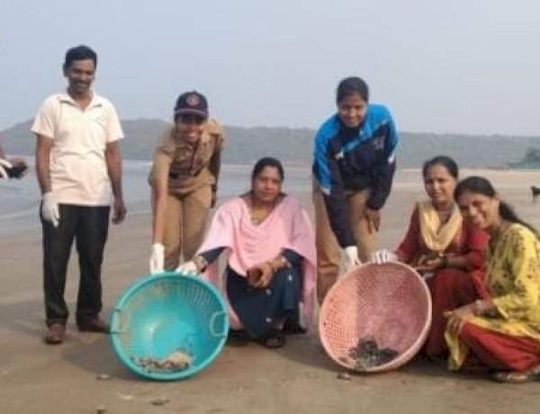 ऑलिव्ह रिडले प्रजातीच्या ५५ कासवांच्या पिल्लांना आचरा समुद्रात आले सोडण्यात