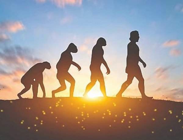 मानवी उत्क्रांतीचा वेग अद्यापही कायम; गेल्या १०००० वर्षांत ५०० जनुकांमध्ये बदल