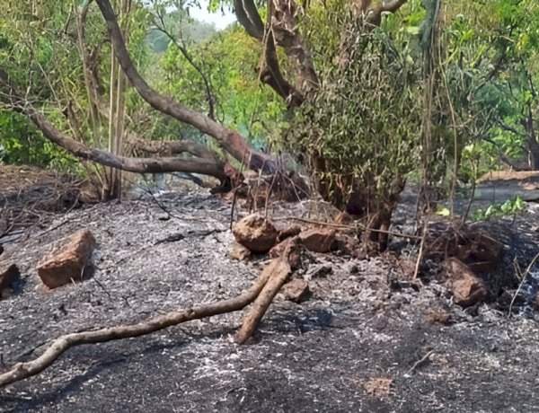 कांदळगाव येथे शॉर्टसर्किटमुळे भीषण आग