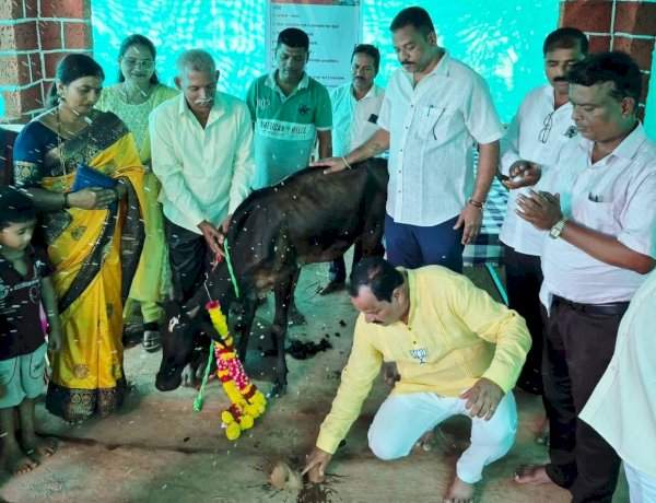 फोंडाघाट येथे 'लक्ष्मीकांत गोशाळे'चे उद्घाटन.....देशी गायींच्या सान्निध्यातून कॅन्सरवर उपचाराचा नवा प्रयोग