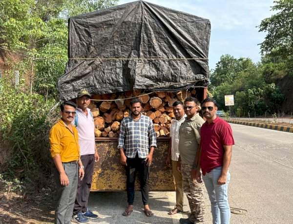 बांदा सीमेवर १४ लाखांचे खैर लाकूड जप्त...चालकाचे गाडी टाकून पलायन