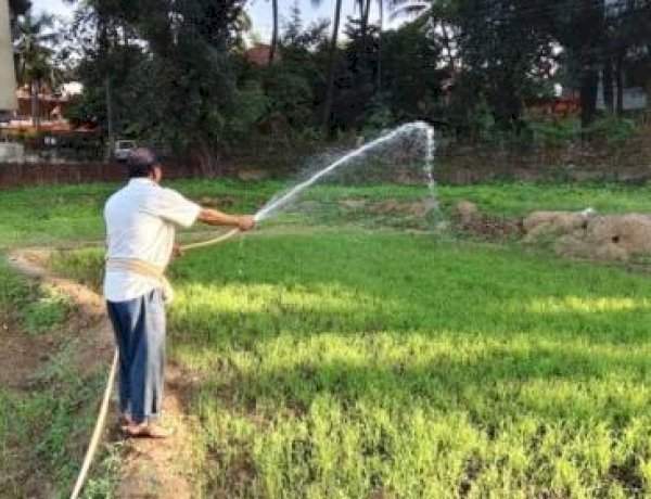 शेतकऱ्याने चक्क पंपाच्या पाण्याने शिंपली शेती
