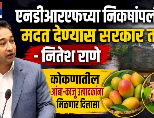 एनडीआरएफच्या निकषांपलीकडे मदत देण्यास सरकार तयार-नितेश राणे....कोकणातील आंबा-काजू उत्पादकांना मिळणार दिलासा.