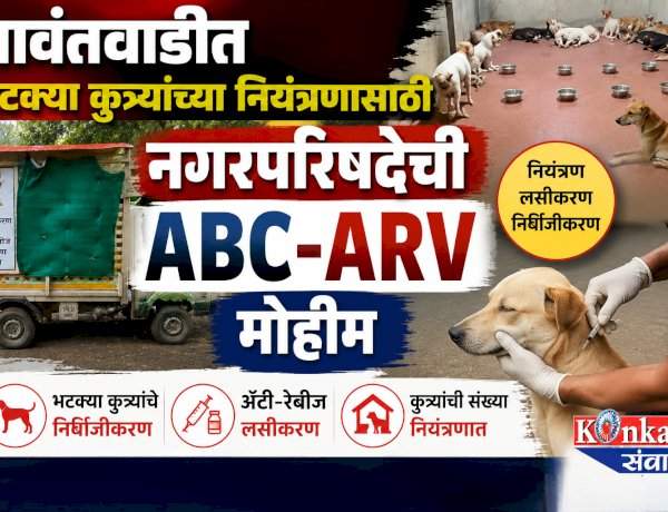 सावंतवाडीत भटक्या कुत्र्यांच्या नियंत्रणासाठी नगरपरिषदेची ABC-ARV मोहीम.....निर्बिजीकरण व रेबीज लसीकरण करून मूळ ठिकाणीच सोडणार