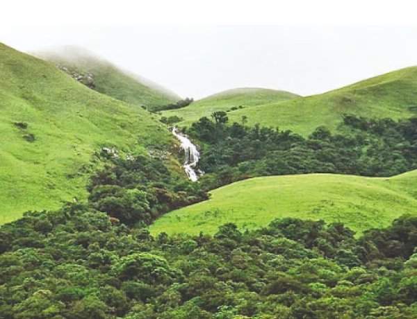 सावंतवाडी-दोडामार्गमधील २५ गावे पर्यावरण संवेदनशील क्षेत्रात....बेकायदा वृक्षतोडीवर टास्क फोर्सची नजर