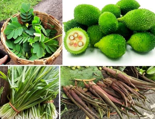 सावंतवाडीत आजपासून रानभाज्या महोत्सव