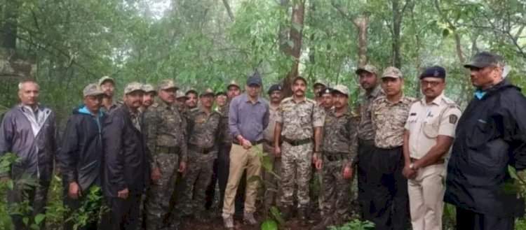 सावंतवाडी वनविभागाकडून व्याघ्र दिन व वनमहोत्सवाच्या निमित्ताने वड झाडांचे वृक्षारोपण.